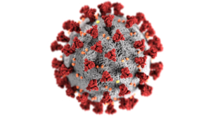 SARS-CoV-2 virus