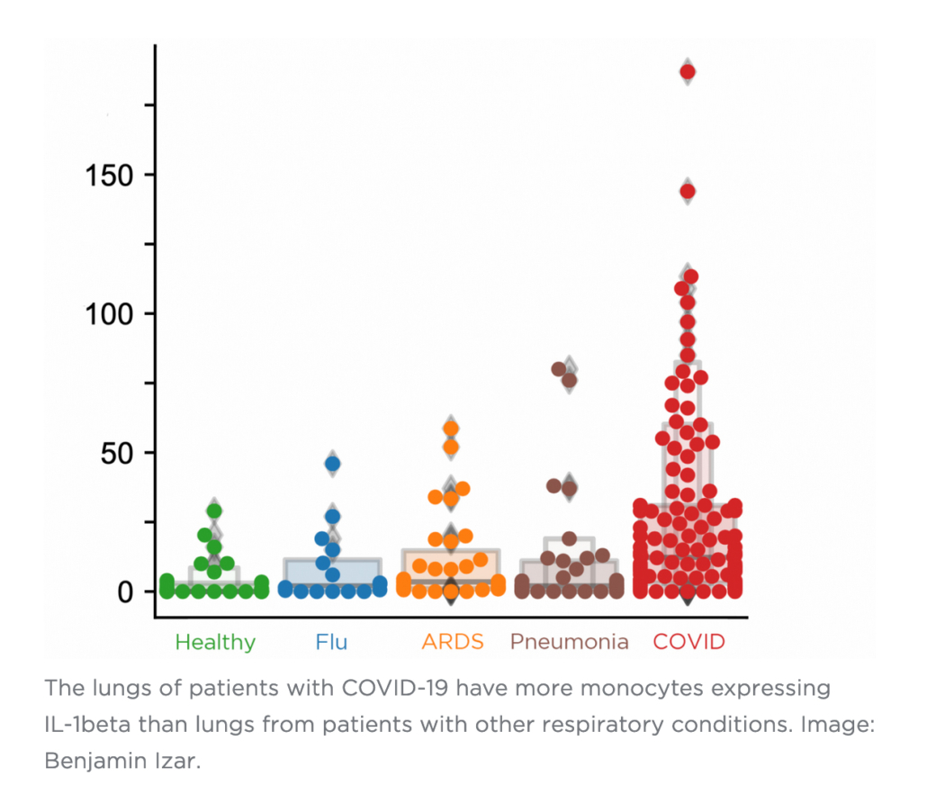 The lungs of patients with COVID-19 have more monocytes expressing IL-1beta than lungs from patients with other respiratory conditions.