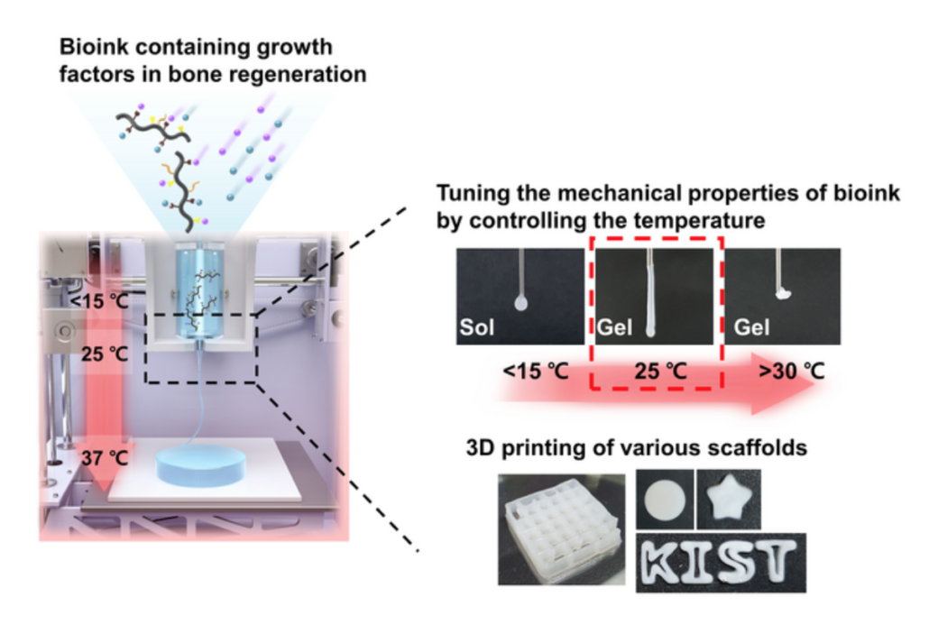 Tuning mechanical properties of bioink according to temperature and 3d scaffold printing