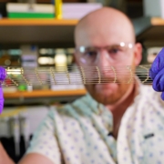 Professor Jason Burdick demonstrates the elasticity of the new 3D-printed material