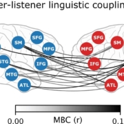 brain coupling