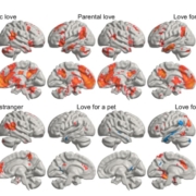 Neural signatures of love