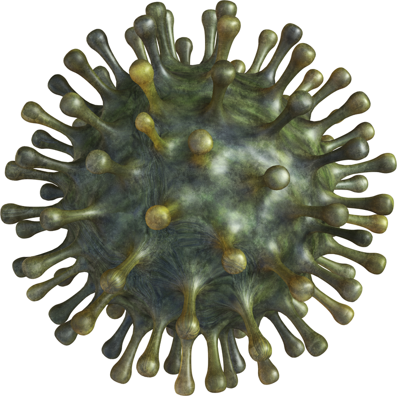 COVID-19 virus