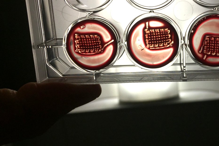 3D printed blood contructs