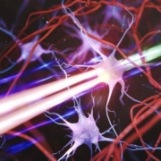 Novel microscope technology enhances neural circuit visualisation at unprecedented scale