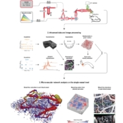 Novel advanced brain imaging technique