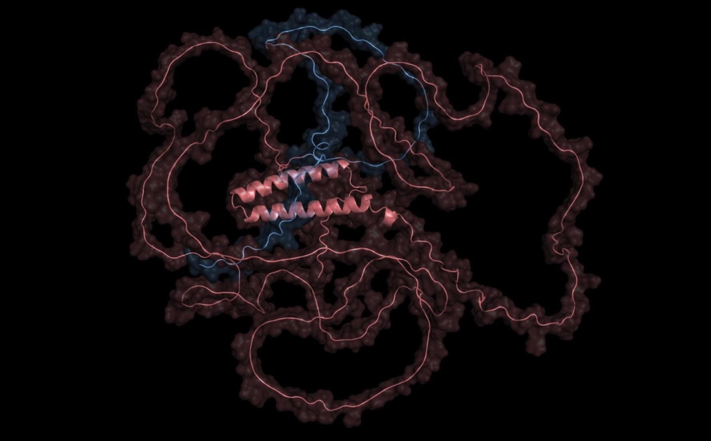 unstructured proteins