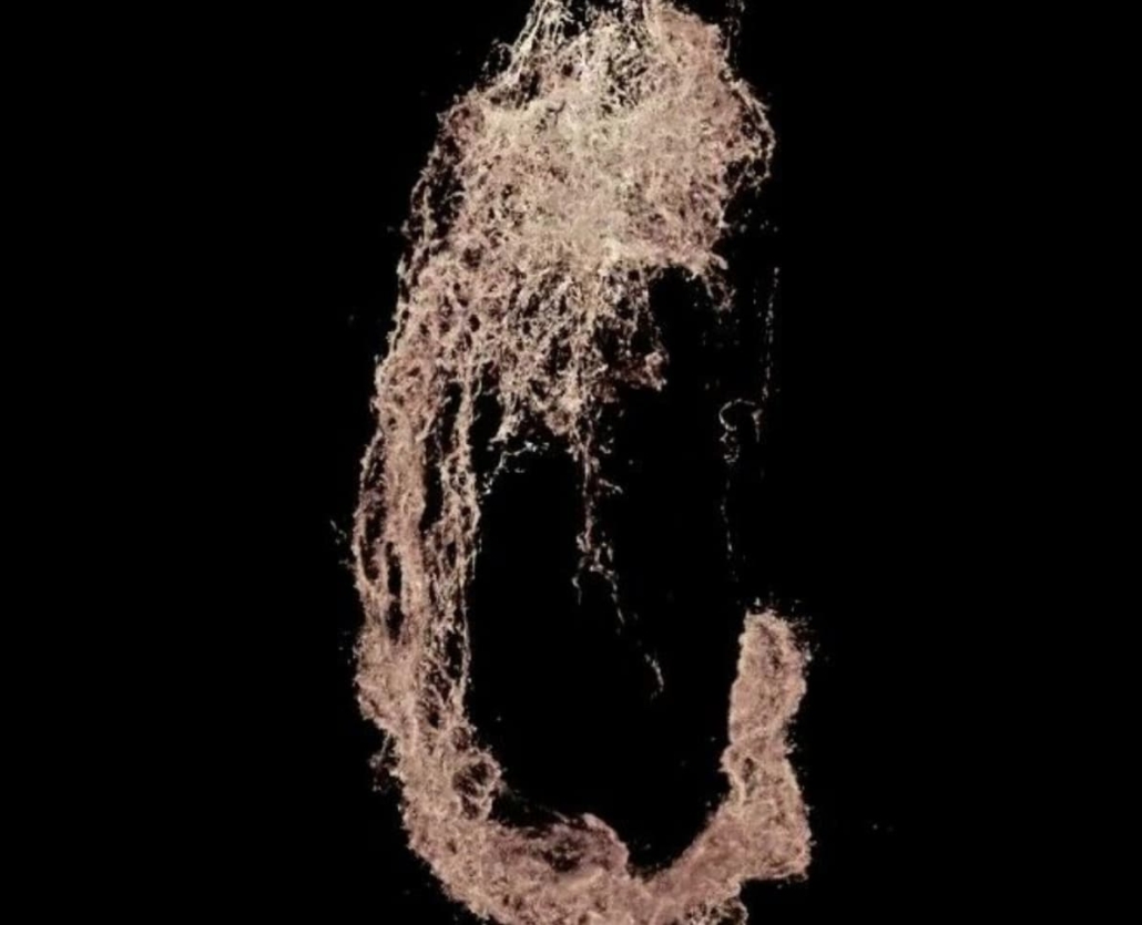 DNA microscopy creates 3D imaging of entire organisms from inside out