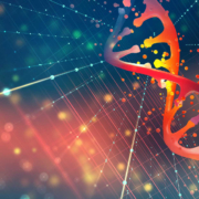 STITCHR: New gene editing technology advances whole-gene replacement therapy