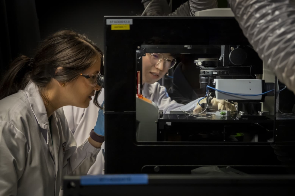 Assistant Professor Jennifer Young (left) examines a DECIPHER sample as PhD student Avery Rui Sun (right) adjusts the nanoindentation equipment used to measure the stiffness of the DECIPHER scaffold.