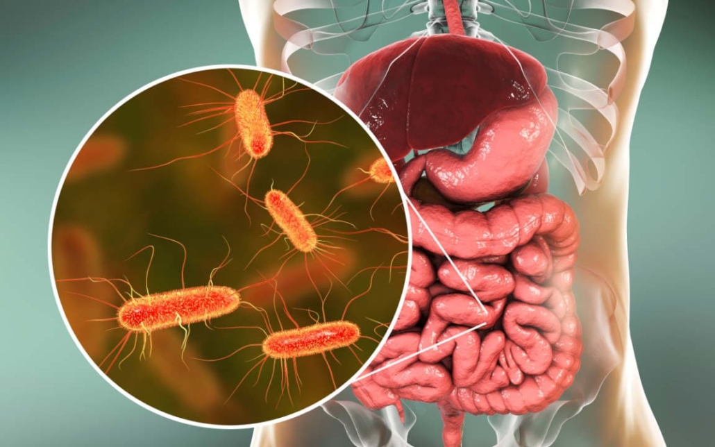 Researchers identify how gut bacteria-specific immune cells breach the blood-brain barrier and trigger neuroinflammation through molecular mimicry, offering new therapeutic targets.