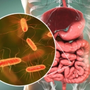 Researchers identify how gut bacteria-specific immune cells breach the blood-brain barrier and trigger neuroinflammation through molecular mimicry, offering new therapeutic targets.