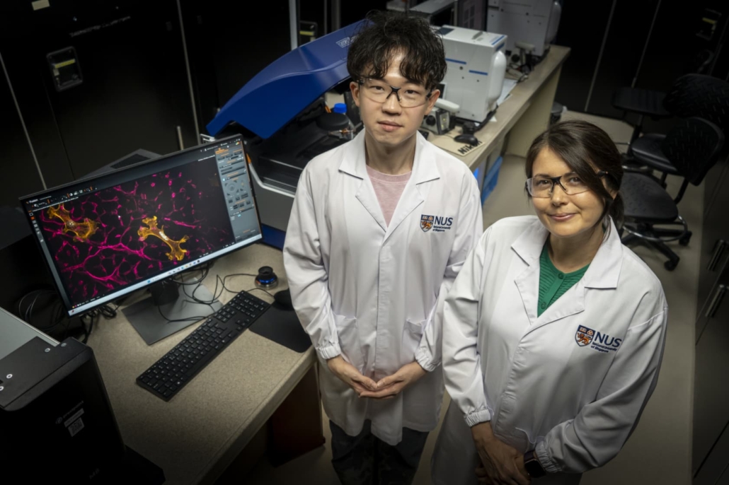 Assistant Professor Jennifer Young (right) and PhD student Avery Rui Sun (left)