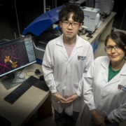 Assistant Professor Jennifer Young (right) and PhD student Avery Rui Sun (left)