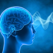 Brain theta waves link audiovisual speech and memory formation