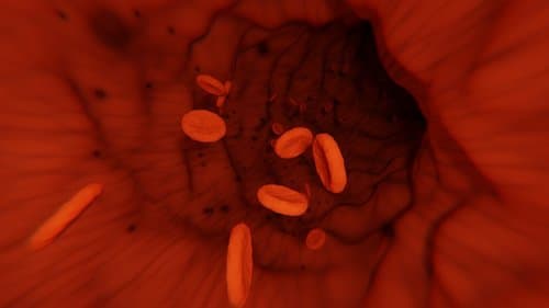 The BMJ has uncovered substantial data integrity concerns surrounding ticagrelor 