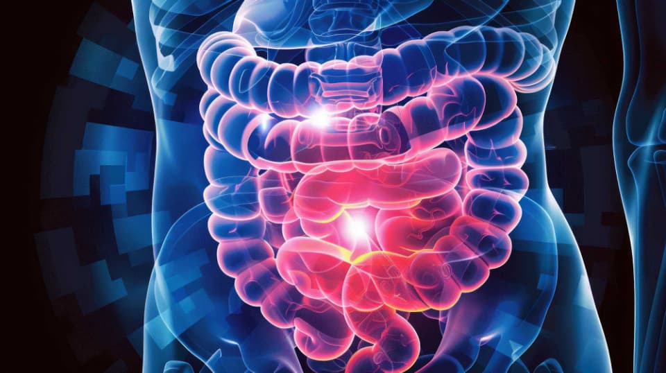 liquid biopsy test to detect early-stage colorectal cancer 