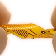 The new implantable device for chronic pain management is small and flexible.