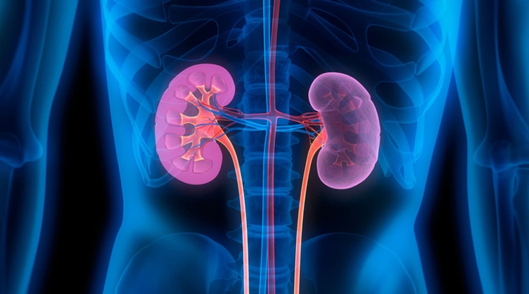 IgA nephropathy treatment