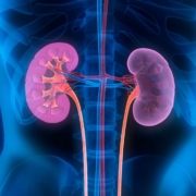 IgA nephropathy treatment
