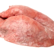 Porcine lungs