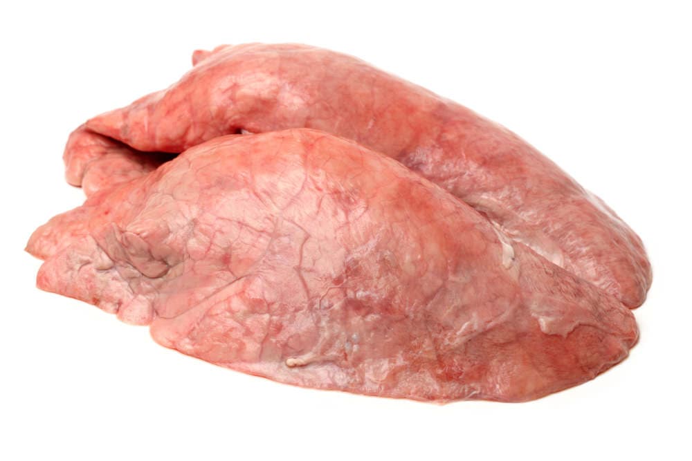 Porcine lungs