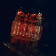 New research combines 3D printing, stem cell biology, and lab-grown tissues for possible treatments of spinal cord injuries.