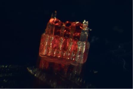 New research combines 3D printing, stem cell biology, and lab-grown tissues for possible treatments of spinal cord injuries.