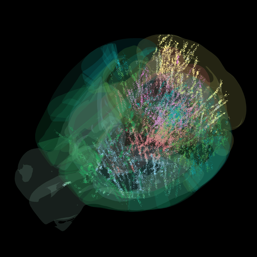 Brain-wide map showing 75,000 analysed neurons, each dot is linearly scaled according to the raw average firing rate of that neuron up to a maximum size.