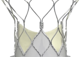 Abbott’s Navitor TAVI system receives CE mark for expanded indication to treat low and intermediate surgical risk aortic stenosis