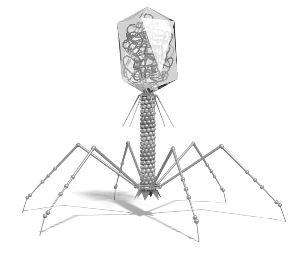 AI designed bacteriophage