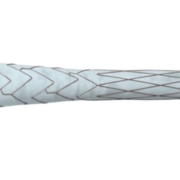 : Phraxis completes first commercial EndoForce anastomotic connector procedure at Spartanburg Regional, marking new era in dialysis vascular access technology.