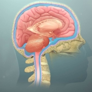 paediatric CNS biorepository established in US partnership