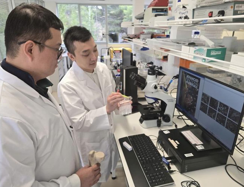 Associate Professor Vi-Khanh Truong and Dr Ngoc Huu Nguyen at the Flinders University Biomedical Nanoengineering Laboratory. 
