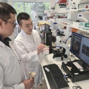 Associate Professor Vi-Khanh Truong and Dr Ngoc Huu Nguyen at the Flinders University Biomedical Nanoengineering Laboratory.